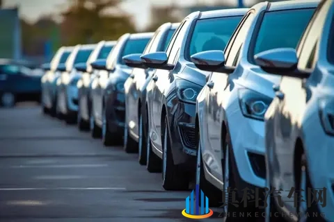 车企倒了,车却火了!年轻人抢 “烂尾车” 背后-2