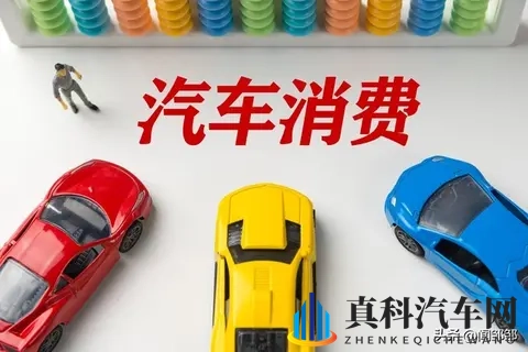 “我被黑惨了” 为什么每家车企都觉得自己是“窦娥冤”?-3