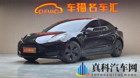 未满十八十八免费无码网站:汽车选购攻略:选对座驾,轻松上路-2