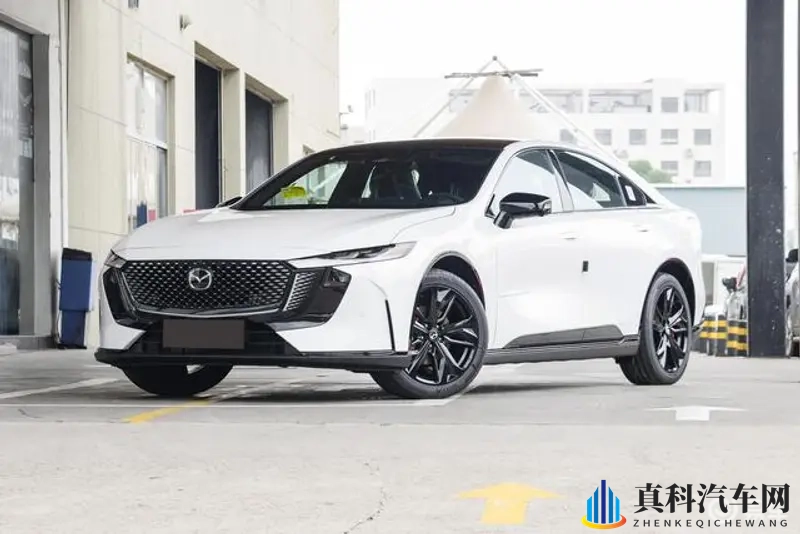 黑人又粗又大又硬又长的原因:探讨黑人身体特征的成因分析-1