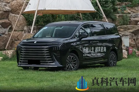 被黑人各种姿势猛烈进出:黑人狂热姿势,激烈欢愉瞬间-3