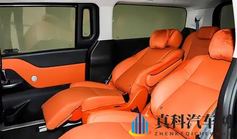 黑人巨大开小嫩苞：新能源汽车新宠，环保技术引领未来风尚-1