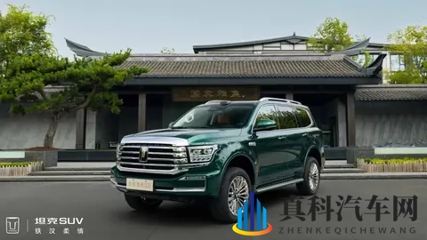 2025年中国最佳动力总成出炉：坦克、吉利、捷途、仰望等品牌入选-3