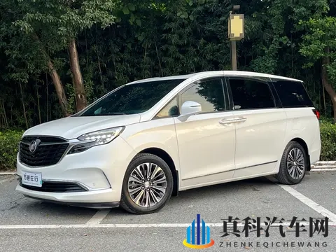 黄色应用软件：驾驶无忧，安全导航秘籍大公开-1