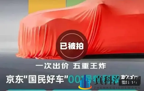 王者荣耀女英雄无小内无爱心游戏:未来驾驶体验:智能科技与绿色出行革新来袭-2