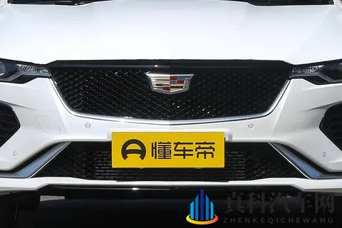 男生插网站：男生沉迷于网络平台-2