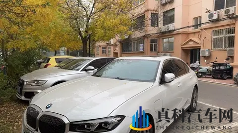 大菠萝官方人口2024:汽车销量突破百万,大品牌引领行业新潮流-2