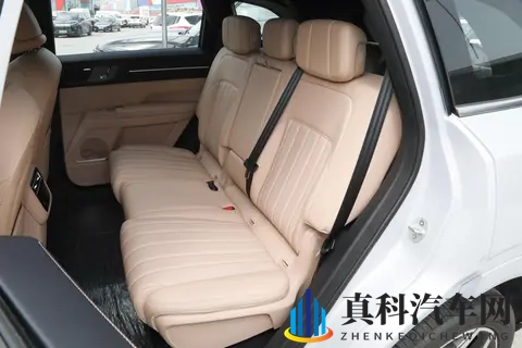 越级才豪华，999 万起售，磁悬浮豪华电七座 SUV，出行选它准没错-1