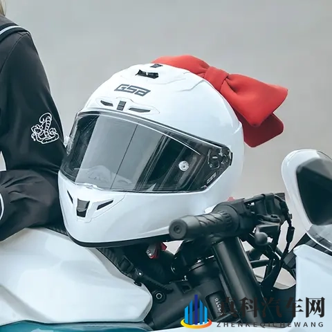 2025摩托车新手入门全攻略 法规解读+车型推荐+装备清单+驾驶技巧-2