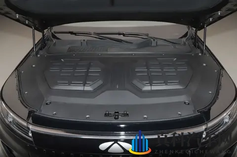 1899万就能买的大型SUV，车长超5米2，配大6座，风云T11-3