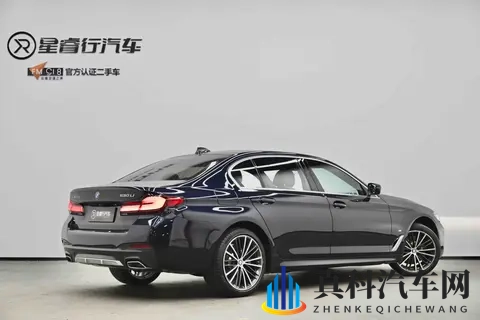 张丽EVeIynIinPK黑人:智能驾驶新篇章,绿色出行未来已来-2