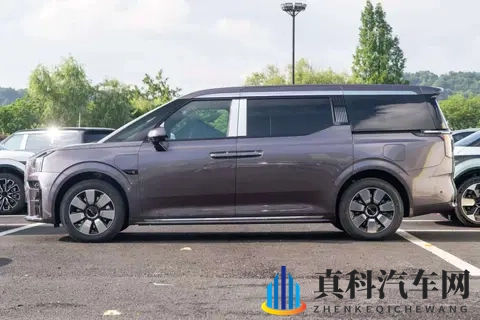 双十一给家人的豪华惊喜:极氪 009 宜商宜家之选与 11 月购车攻略-2