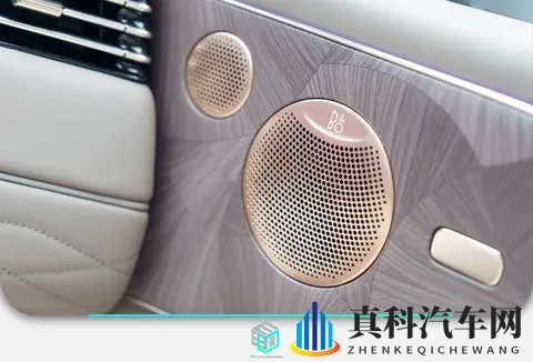 细节满满_堆料十足 智己LS9静态体验-3