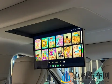 1899万元起 定位大型6座SUV 风云T11正式上市-1