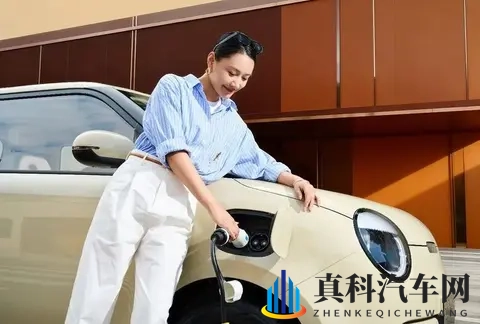 『网通社』Lumin宝藏版上市 惊喜价479万-559万-2