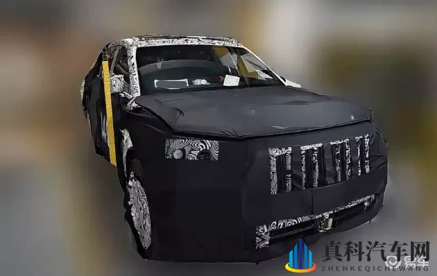 欧美性末发育娇小:惊艳亮相!小车新锐,性能卓越引关注-1