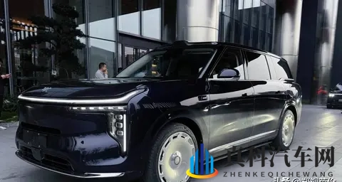 智己LS9街头偶遇记-1