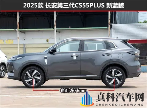 Gay引诱体育生com2022：运动轿车革新,智能科技重塑驾驶体验-2