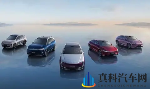 车评 零跑夺冠、理想失速,我们该为销量买单吗?-1