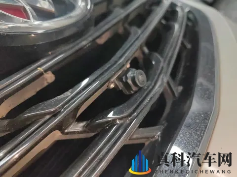 仙踪林免费入口WWW:智能座舱如何重塑你的出行体验-2