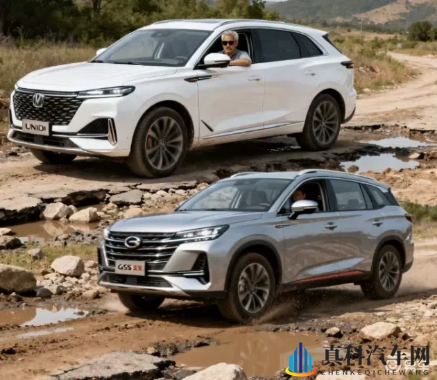 p站码无精品秘 入口:新能源汽车崛起,智能驾驶引领潮流-1