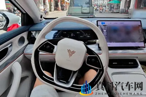 年轻人捡漏倒闭车企，有人半价买哪吒，有人12万元抄底高合-1