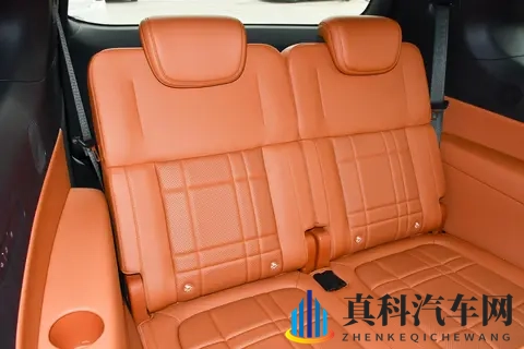 深蓝 S09 破局记:新能源大型 SUV 市场 “现象级” 车型的圈粉逻辑-1