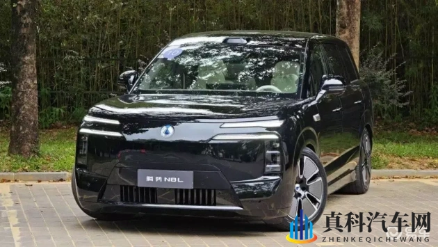 少妇被按摩师摸到高潮：现代汽车革新：速度激情，智能未来-1