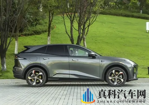 女人与公牛CXⅹ:女性挑战雄性力量,CXⅹ极限对决-2