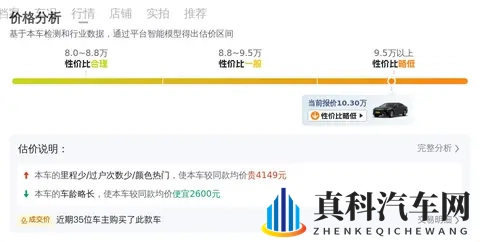天天爱天天摸：新能源汽车、智能驾驶，个性化定制，汽车新潮流-3