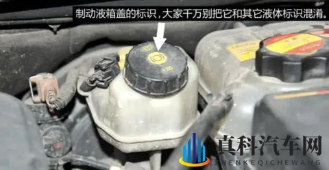 老司机珍藏版|车上这几种油液多久换一次?搞懂能省大笔修车钱!-1