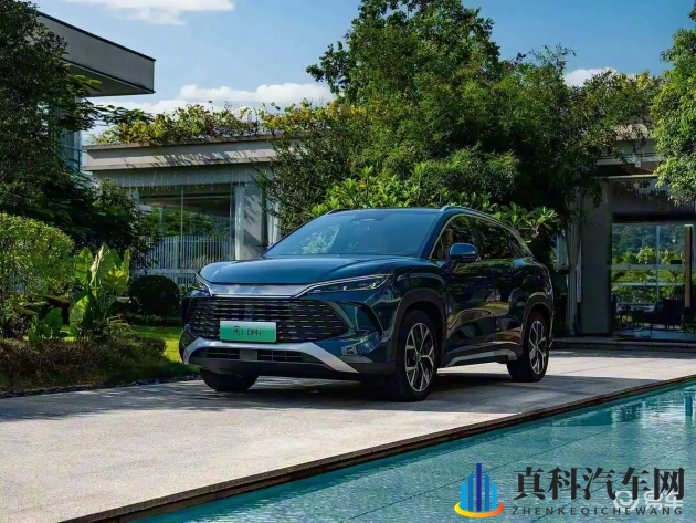 五月情婷婷:五月花开情意浓-1