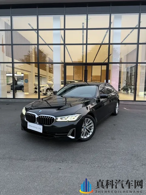 21万多拿下，感受行政级座驾魅力——二手宝马525Li-3