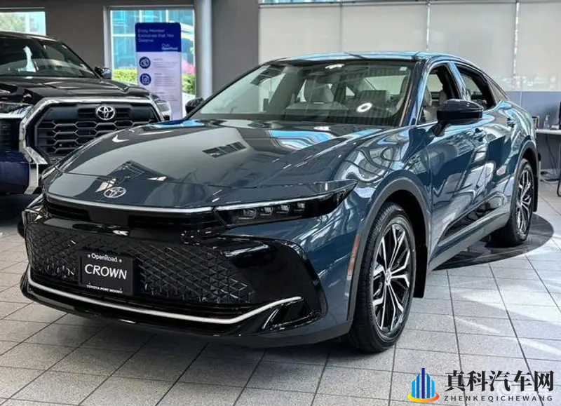 黑人大战欧美:非洲对抗欧洲与美洲争霸-1