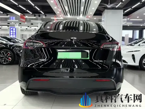 特斯拉Model Y：2022年电动SUV，15万+带回家！-3