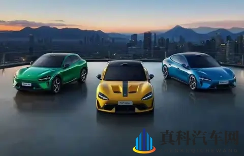 比亚迪海豹保值率反超油车,二手车贩子哭着抢电车!-2