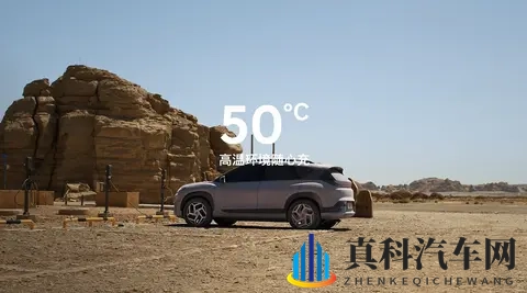 黄网18禁：网络内容严格监管，成人内容限制严格-2