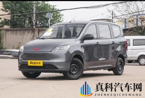 548万起!全新五菱宏光燃油版上市,7座+15L超实用-2