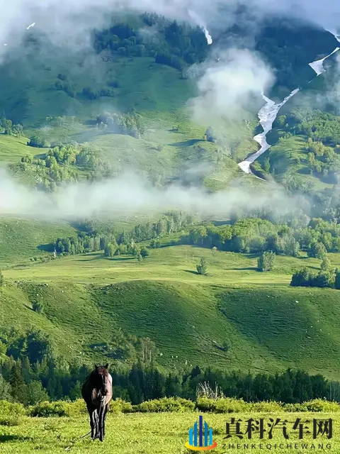 初音未来被焯出白水后还能活吗:夏日汽车高温挑战,揭秘生存秘诀-1