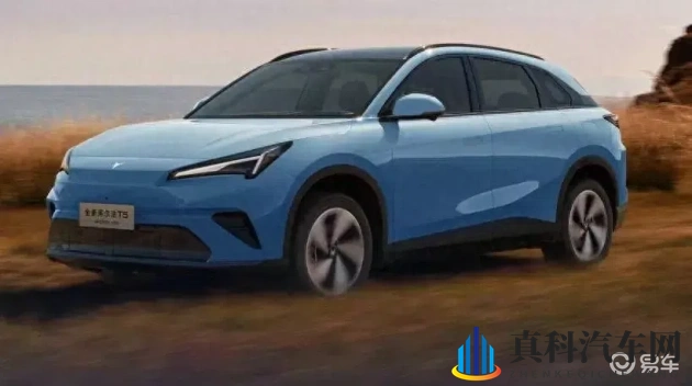 红桃国际：跨国红桃企业集团风采展现-1