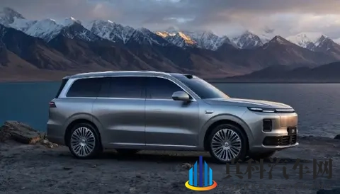 中国新能源汽车市场大混战：零跑杀出黑马比亚迪吉利打的火热-1