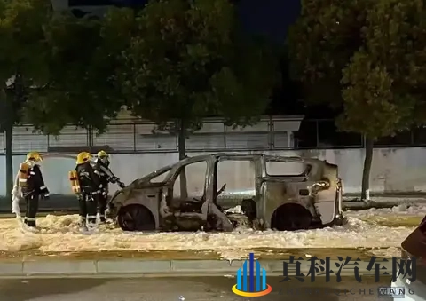 理想车自燃后李想还能不能守住他的纯电梦-2