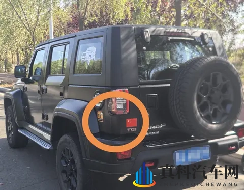 麻花传沈娜娜:《沈娜娜演绎麻花传奇,精彩纷呈》-3