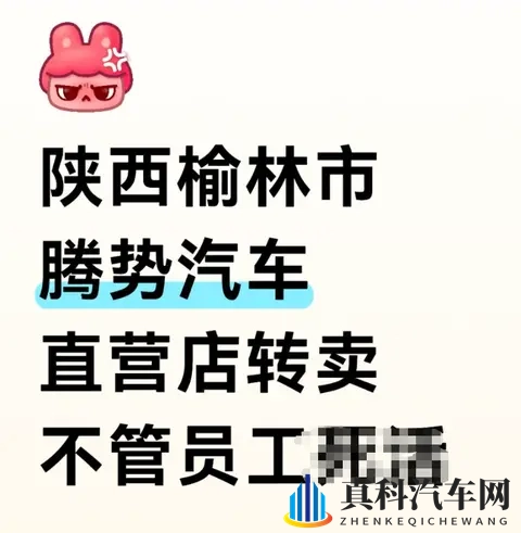 腾势直营门店“腾退”?销售曝料渠道转经销商,官方尚未回应-2