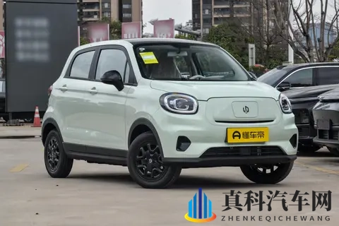 15 倍空间+2 倍续航!5 万级纯电车怎么选?-1