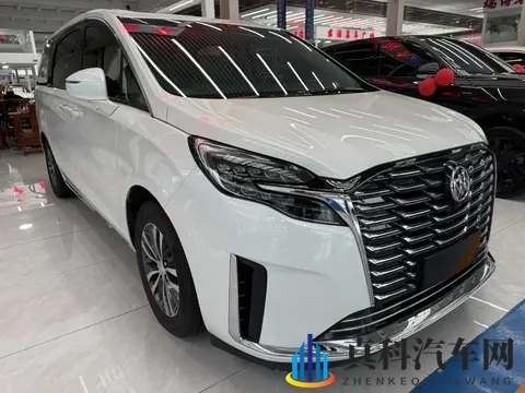 宜商宜家好选择,准新一手别克GL8陆尊-1