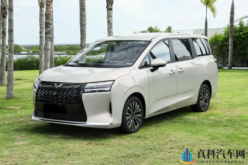 星光730预售7.68万起，可选插混_纯电_燃油动力-1