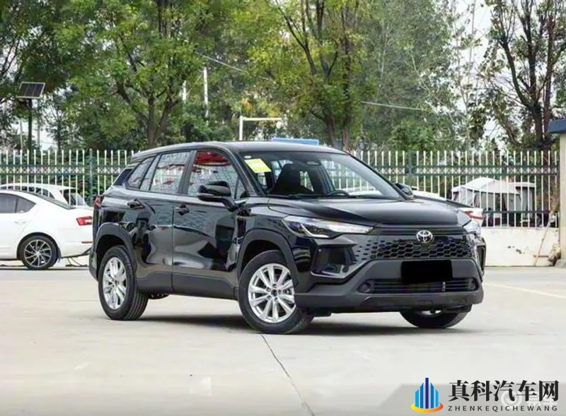 www免费视频在线观看播放：视频评测如何重塑汽车消费决策-1