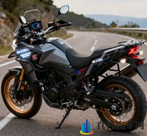 标配VVT TCS 续航500km 2025款铃木DL250升级后依旧能打-3