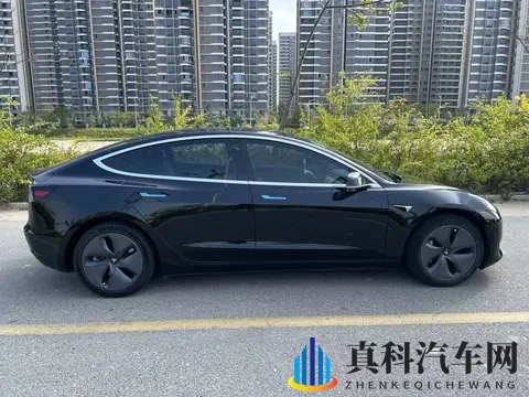 10万出头，圆你特斯拉梦！20款Model3代步优选-2